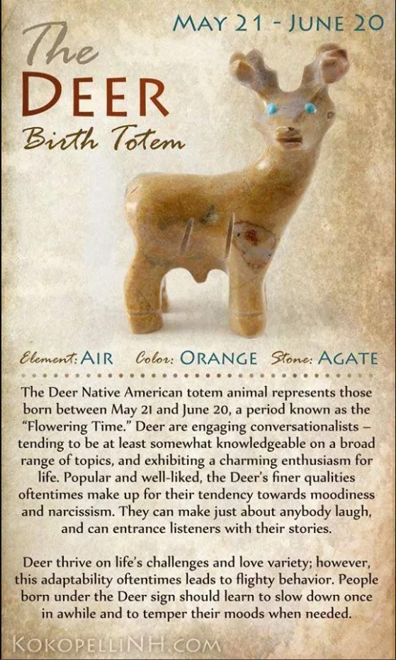 native american totem